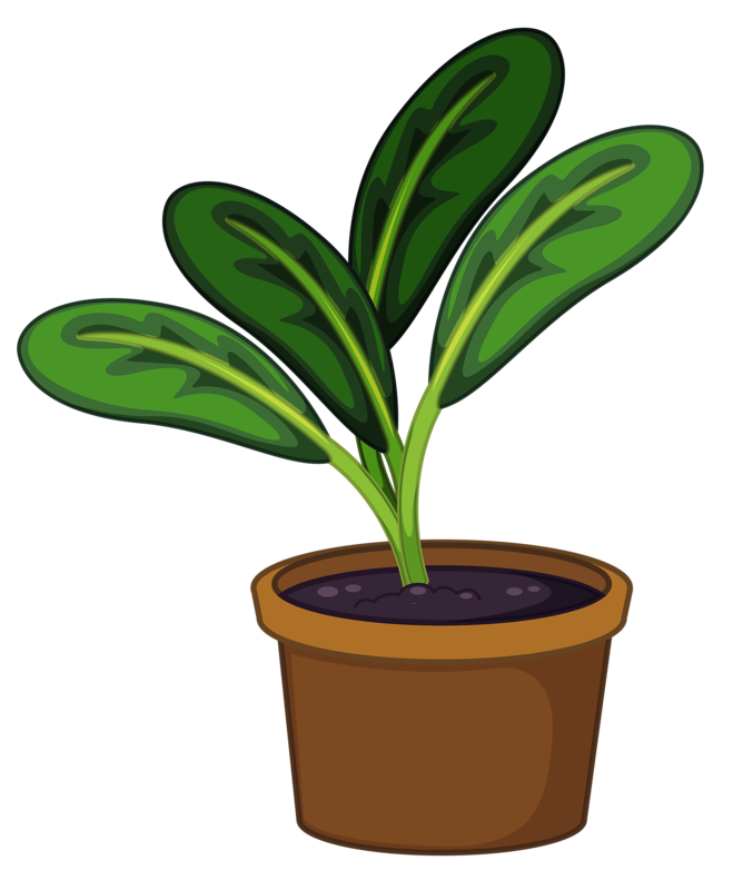 Seedling clipart animated. Pot plant drawn free
