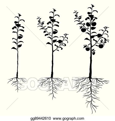 Seedling clipart apple seedling. Vector illustration trees with
