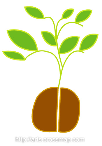 Seedling clipart baby. Free download best on