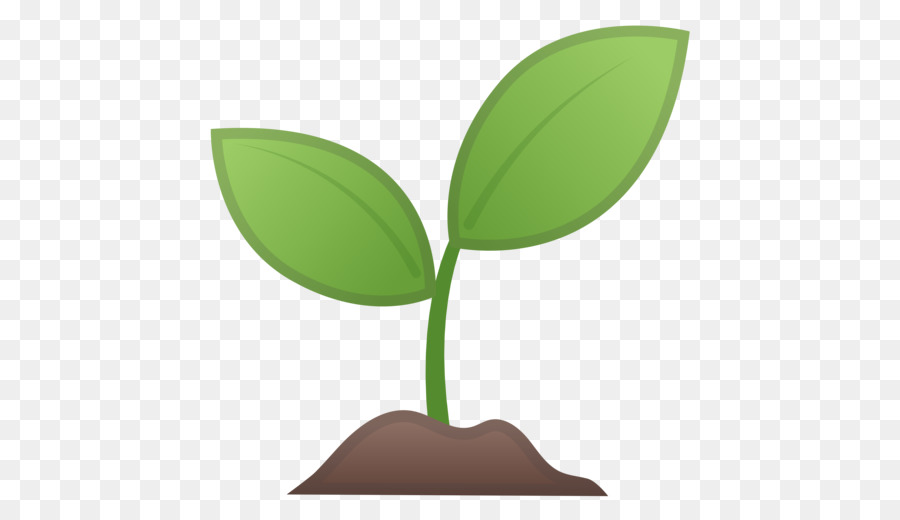 seedling clipart background