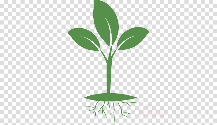 seedling clipart background