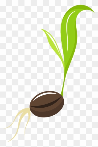 seedling clipart background
