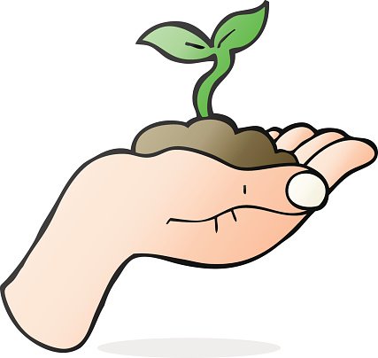 Growing held in hand. Seedling clipart cartoon