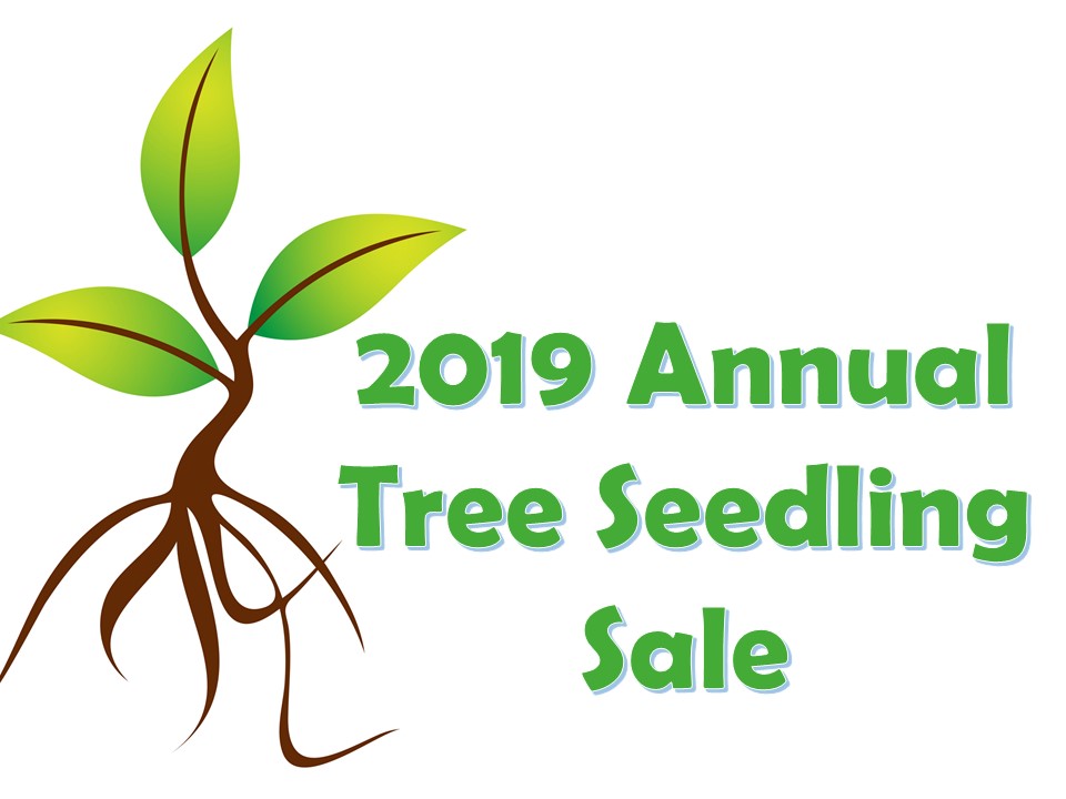 Seedling clipart conservation plant. Tree sale 