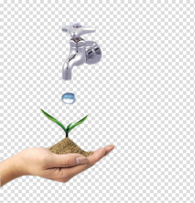 Seedling clipart conservation plant. Environmental protection natural environment