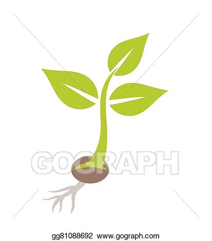 Clip art vector stock. Seedling clipart conservation plant