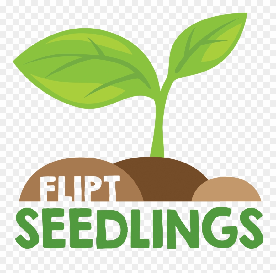 seedling clipart fertile