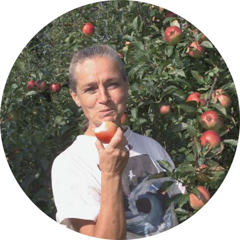 Seedling clipart gamala. Havefolket havepanelet ritt bjerregaard