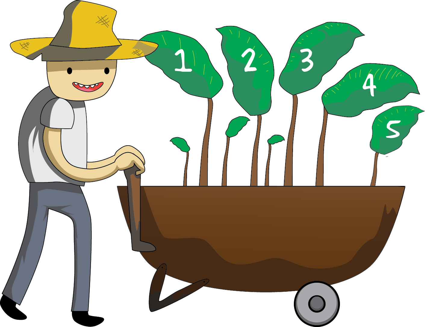 Seedling clipart germination process. Module lesson it is