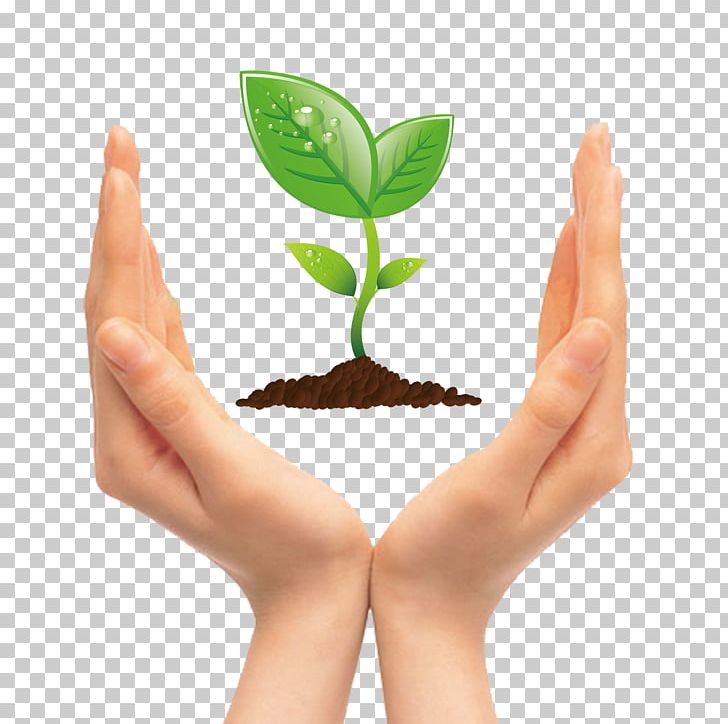 Seedling clipart girl hand. Tree png alternative medicine