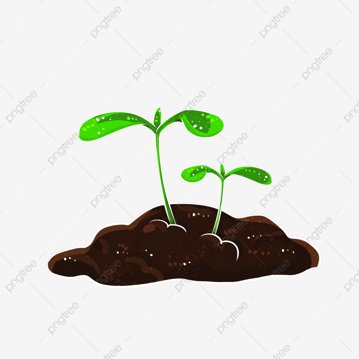 seedling clipart grass seed