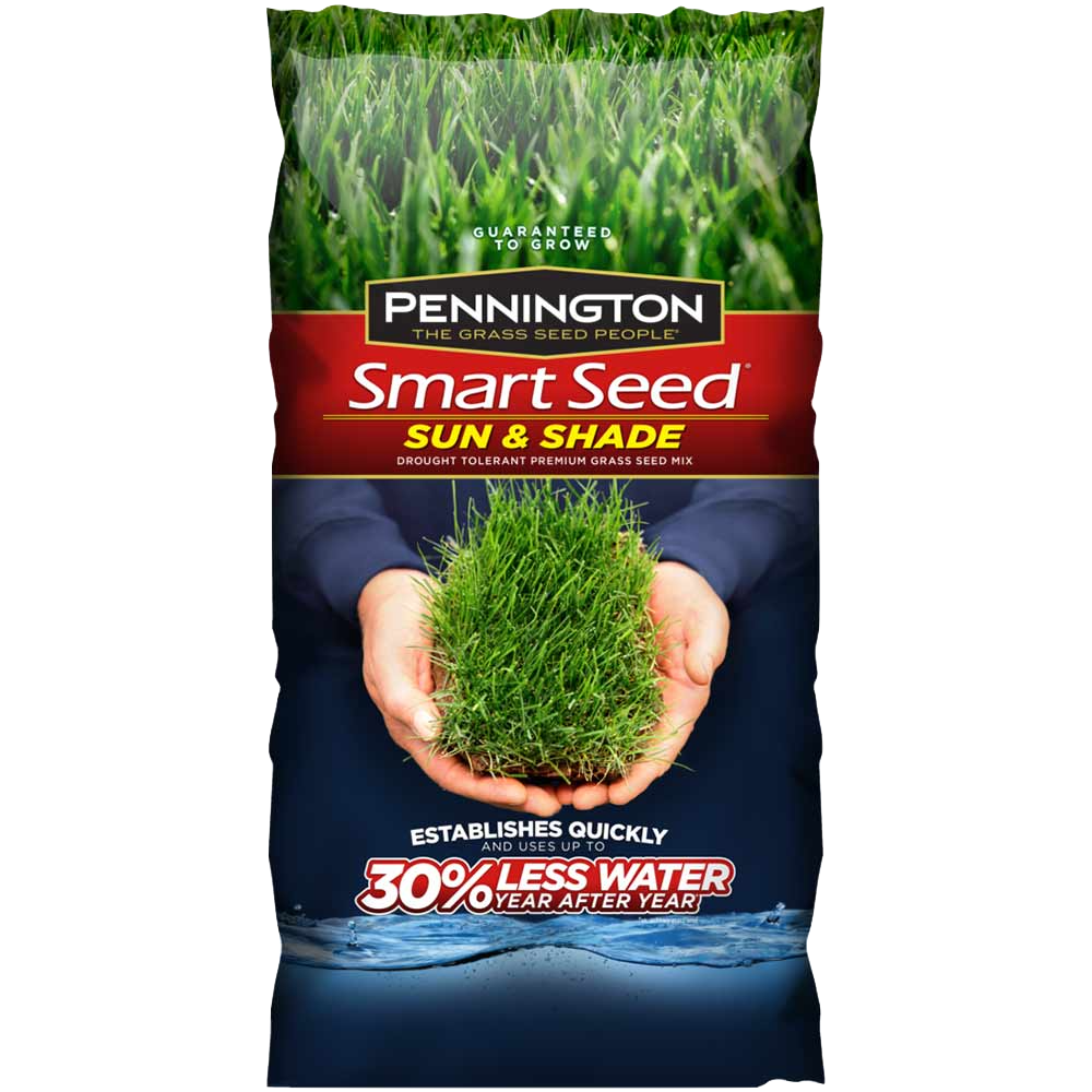 seedling clipart grass seed