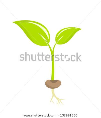 seedling clipart green plant