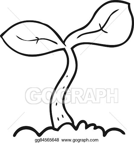 Vector black and white. Seedling clipart grown