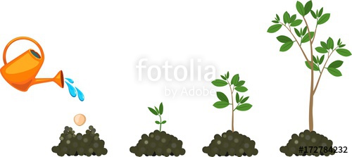 seedling clipart growth rate