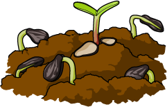 Seed panda free images. Seedling clipart in ground