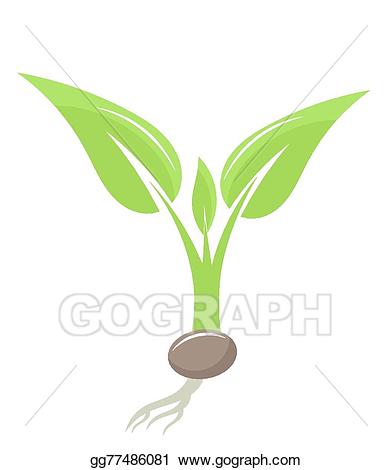 Seedling clipart kind plant. Clip art vector stock