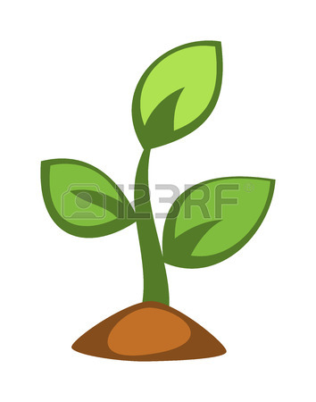 Seedling clipart kind plant. Free download best on