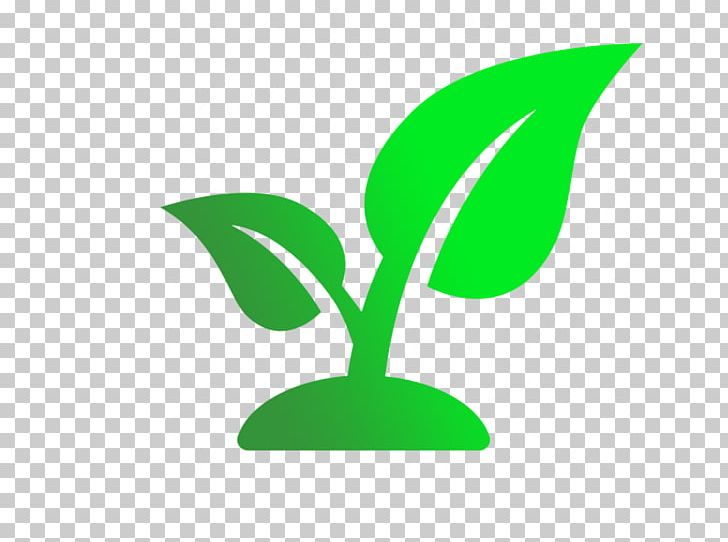 seedling clipart leaf stem