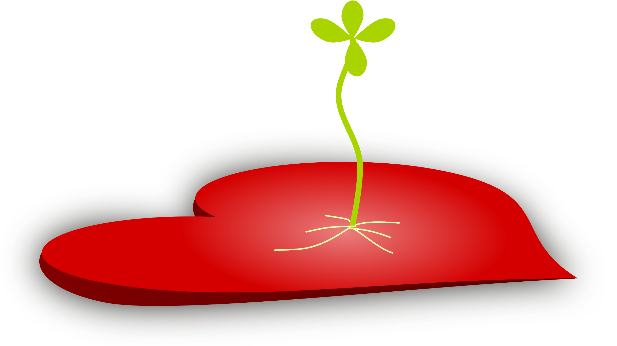 seedling clipart leafy plant