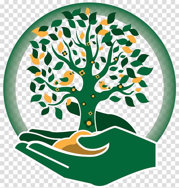 Plant transparent background png. Seedling clipart mustard seed