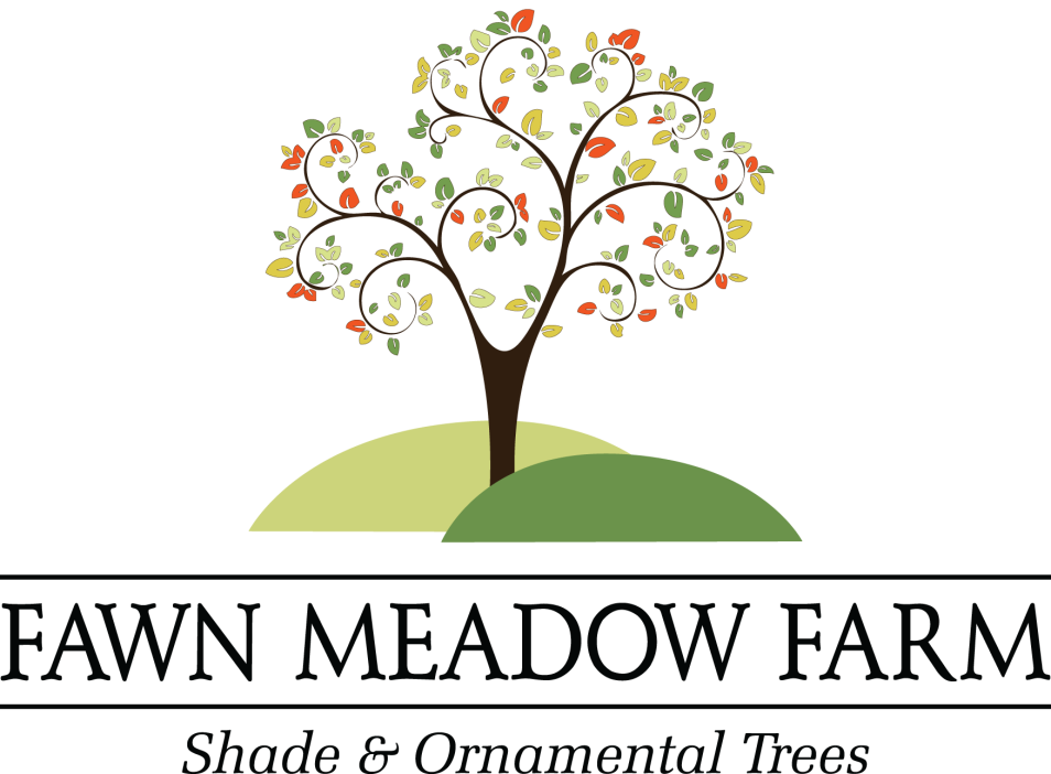 Seedling clipart ornamental plant. Fawn meadow farm logo