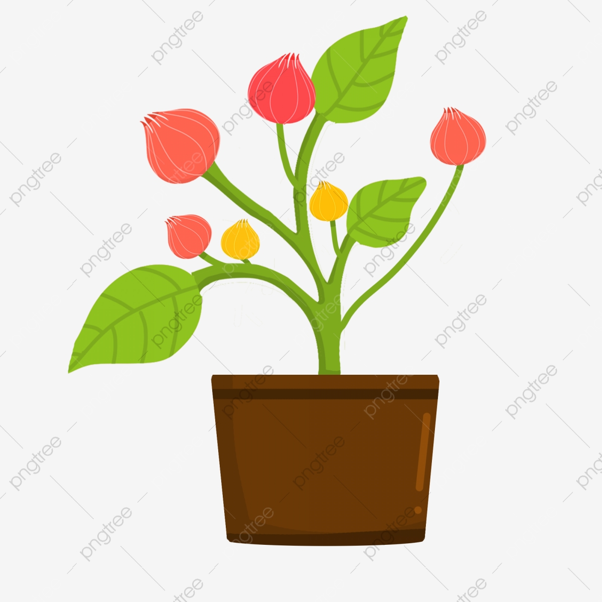Hand painted flower pot. Seedling clipart ornamental plant