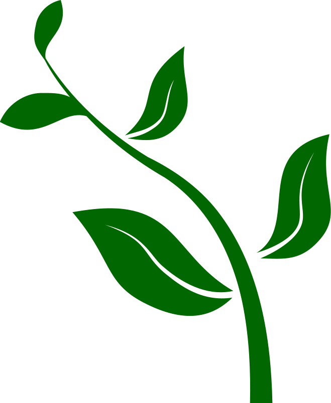 News from project grow. Seedling clipart ornamental plant