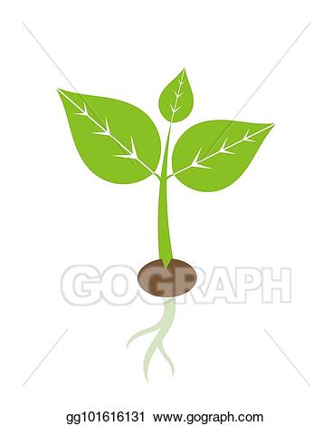 seedling clipart plant bud