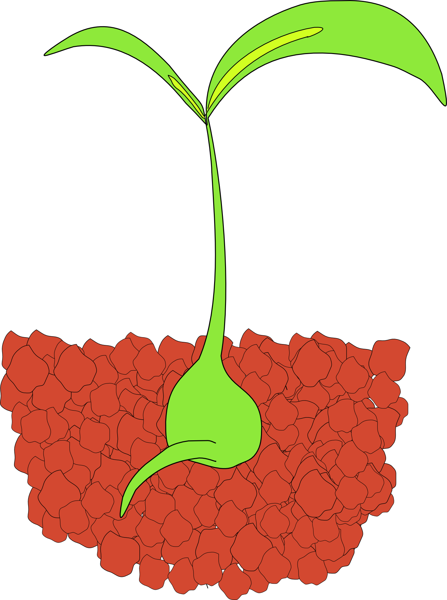 Talkplant . Seedling clipart plant leave