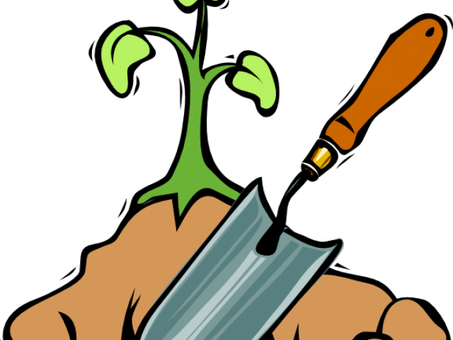 Seedling clipart planting seed. Png download full size