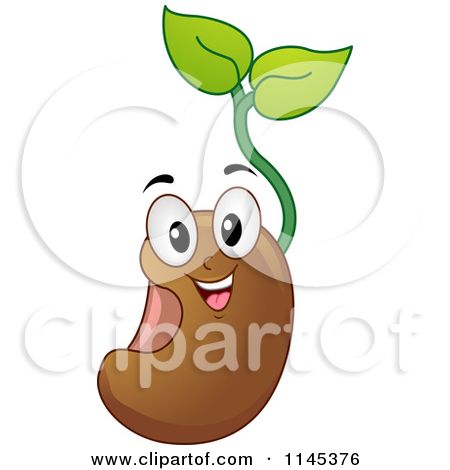 Google search plant images. Seedling clipart planting seed