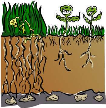seedling clipart rich soil
