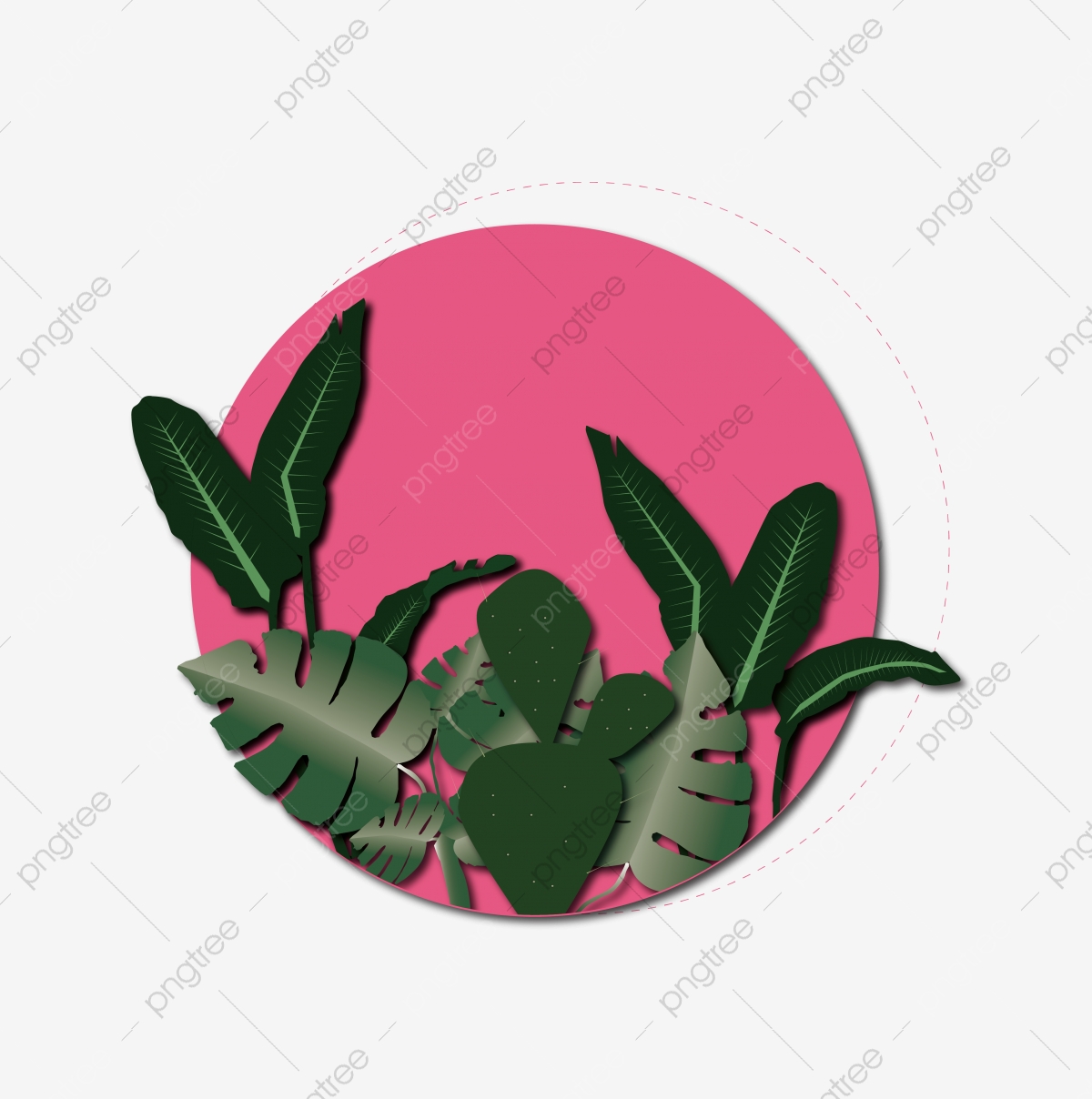 seedling clipart rubber plant