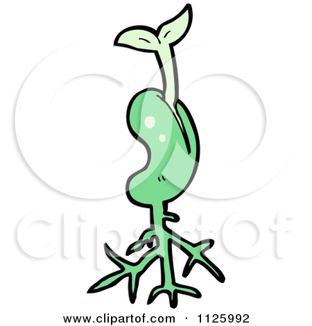 seedling clipart single seed