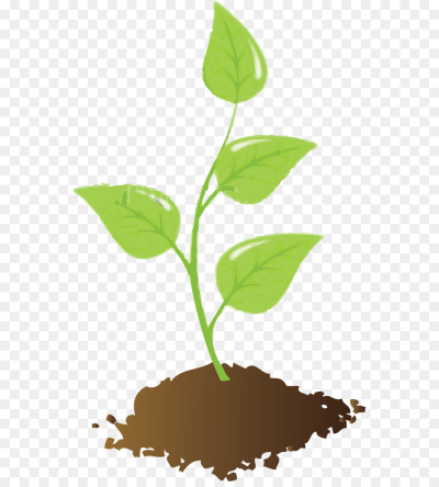 Seedling clipart soil, Seedling soil Transparent FREE for download on ...