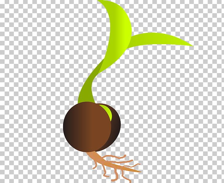 Seedling clipart sprouted. Sprouting seed germination png