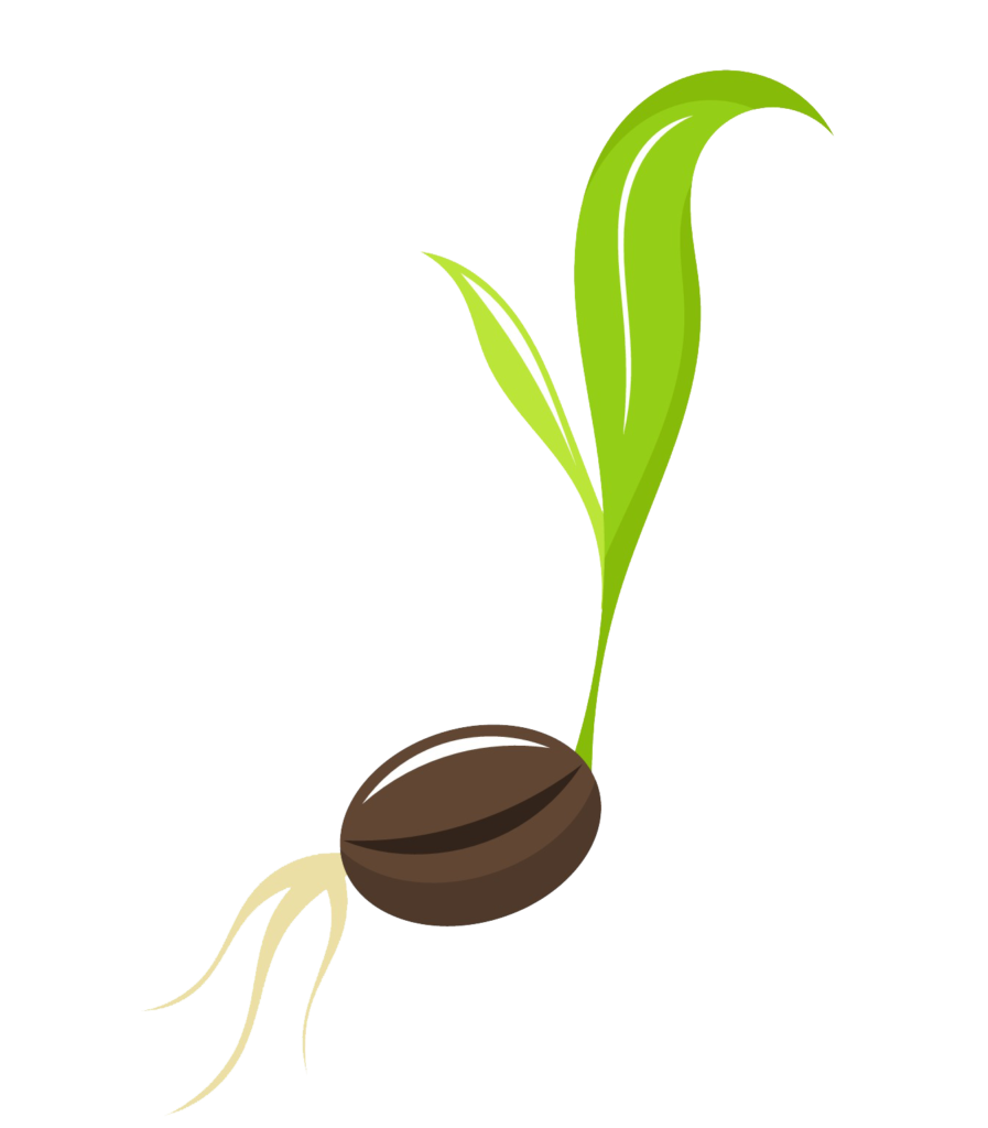 Seedling clipart sprouted. Seed sprout images gallery