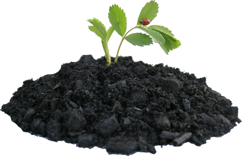 Biochar instructions california s. Seedling clipart top soil