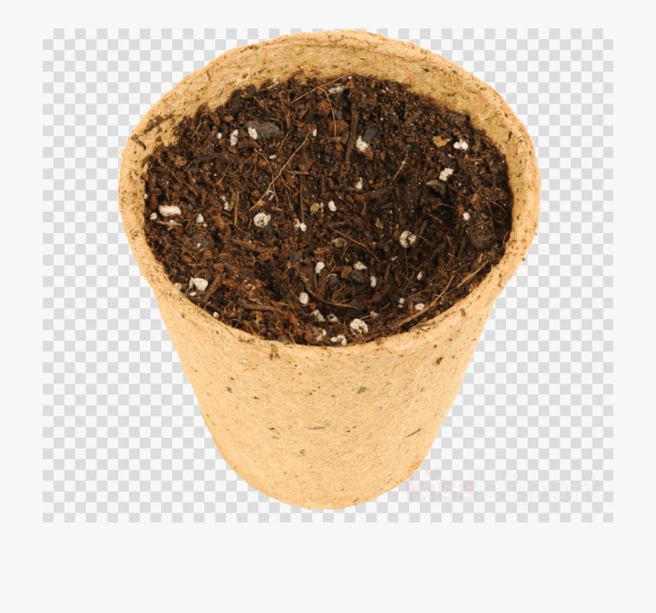 Seedling clipart top soil. Seed circle paper curl