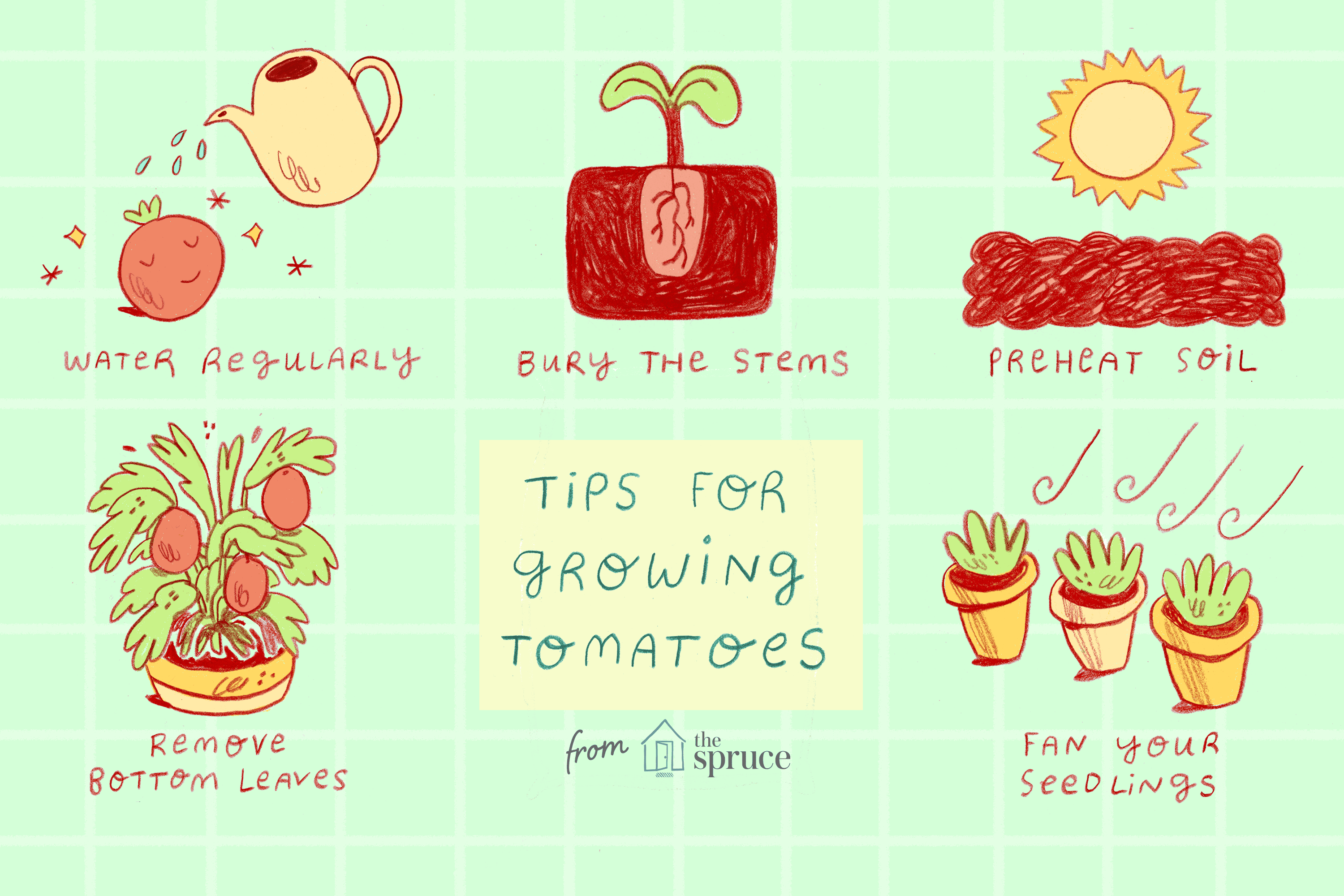 Seedling clipart top soil.  tips for growing