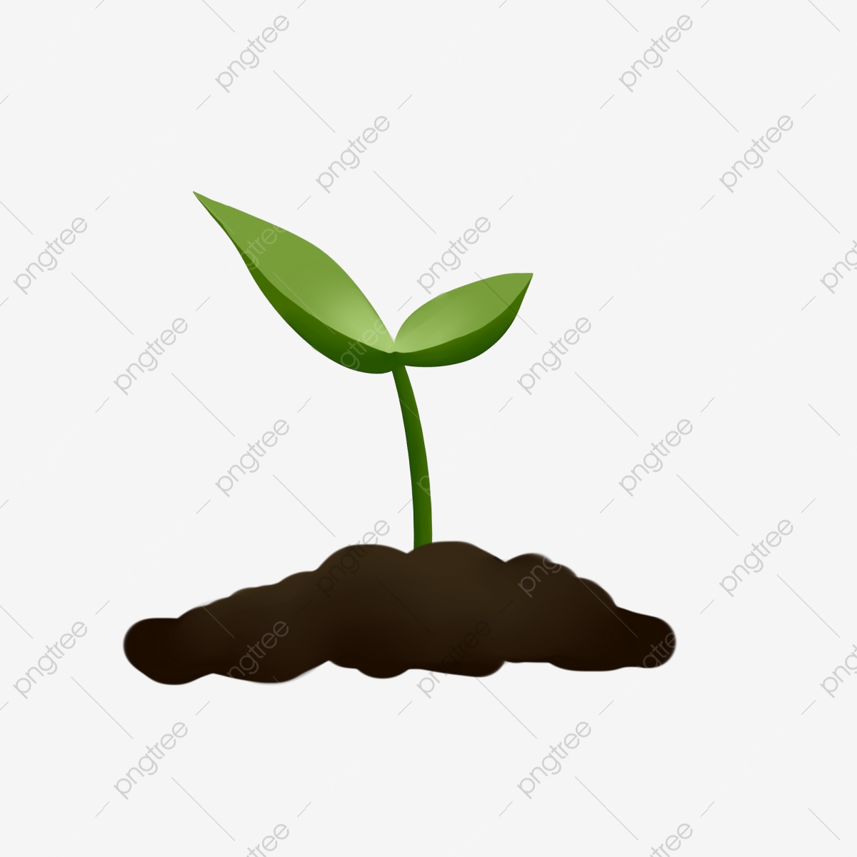 Freshly sprouted plant illustration. Seedling clipart uses soil