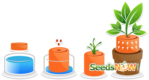 seedling clipart uses soil
