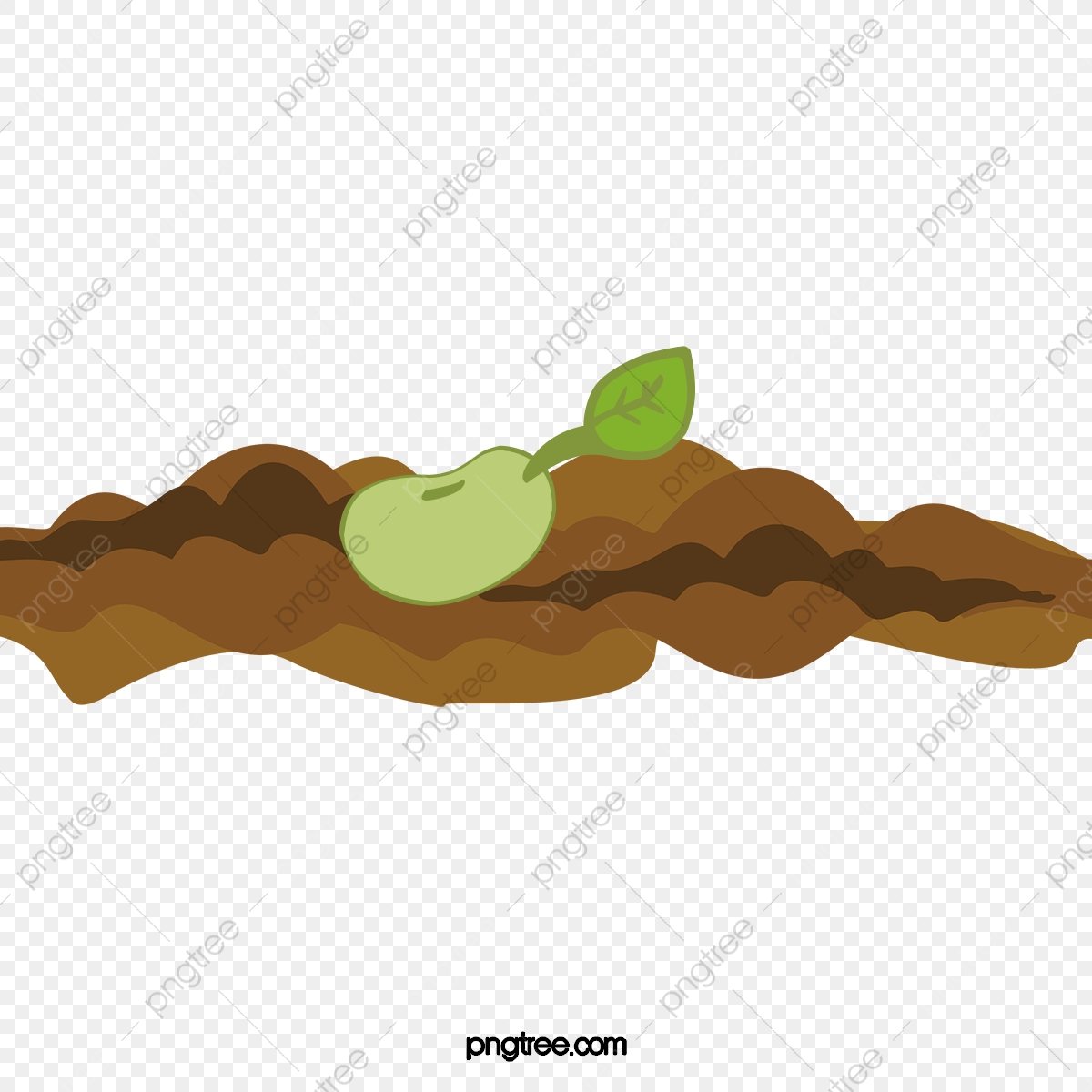 Seedling clipart uses soil. Young plants shoots pictures