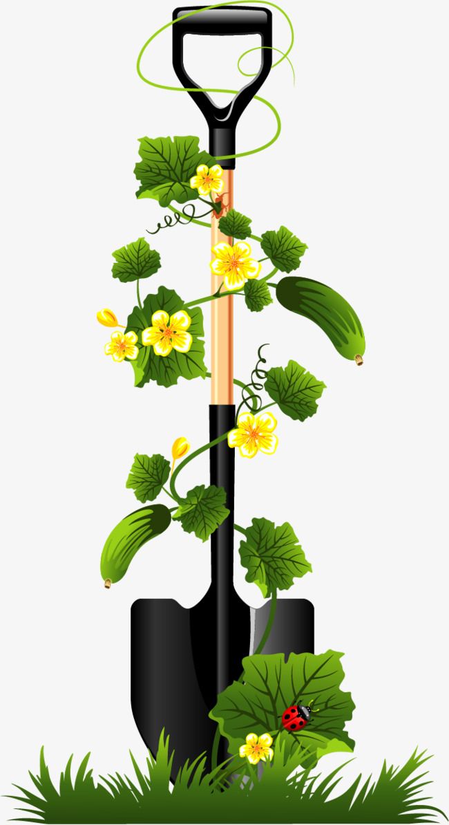 Hand painted shovels picket. Seedling clipart vector