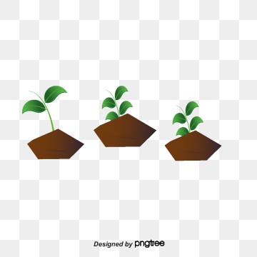 Seedling clipart vector. Png psd and with