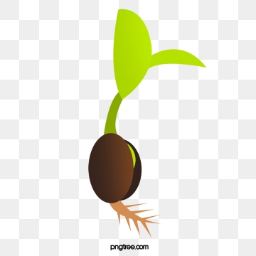 Seedling clipart vector, Seedling vector Transparent FREE for download ...