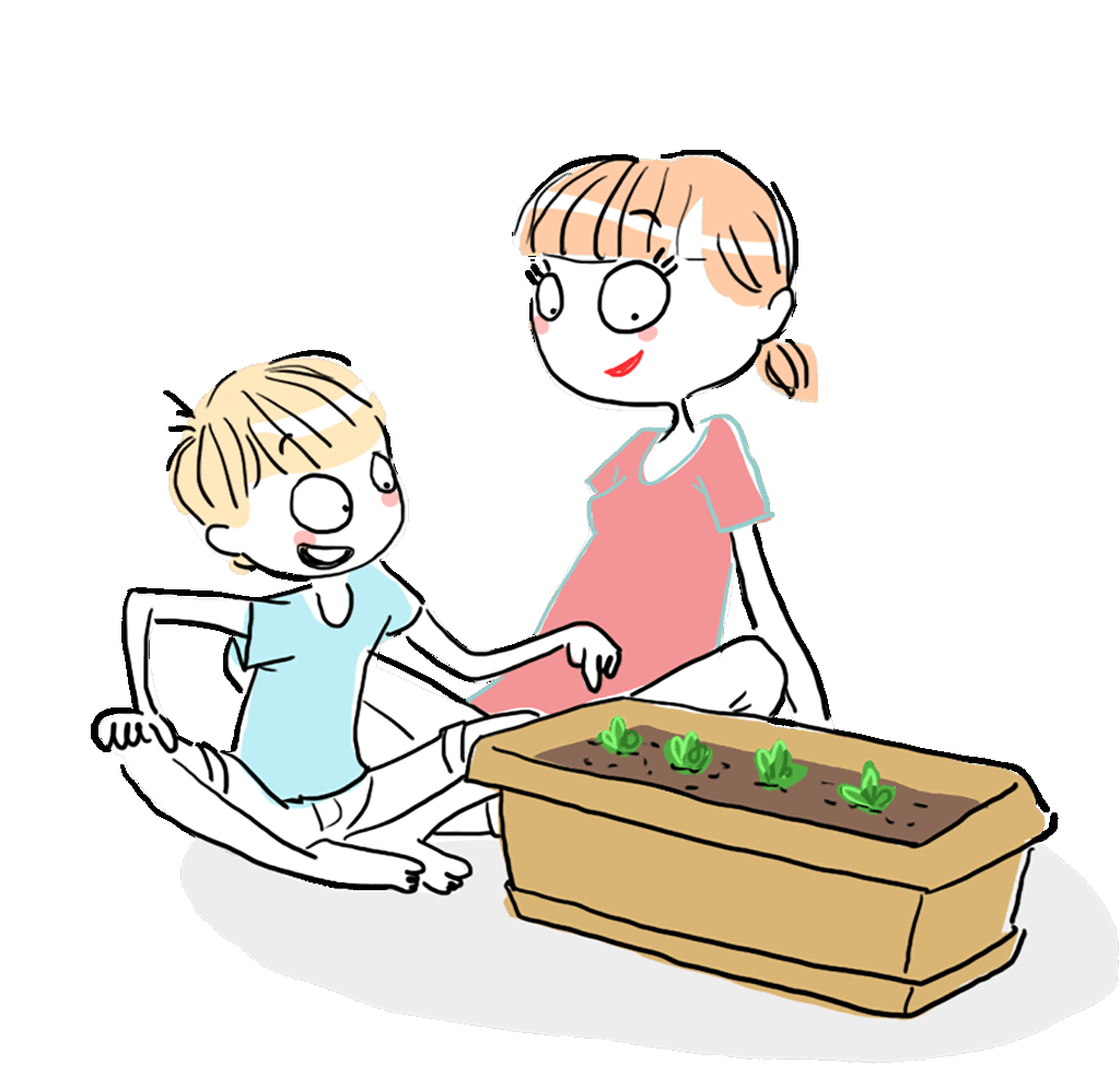 seedling clipart wheat seed