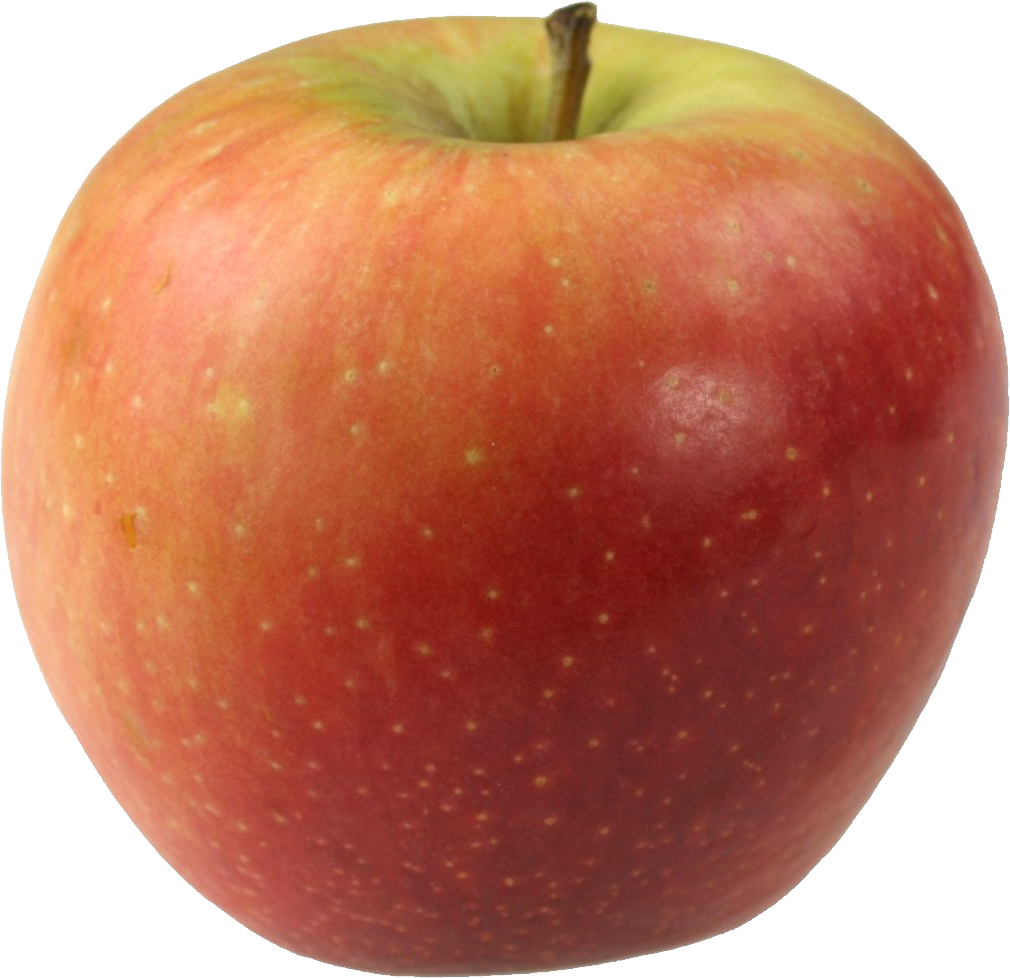 september clipart apple bag
