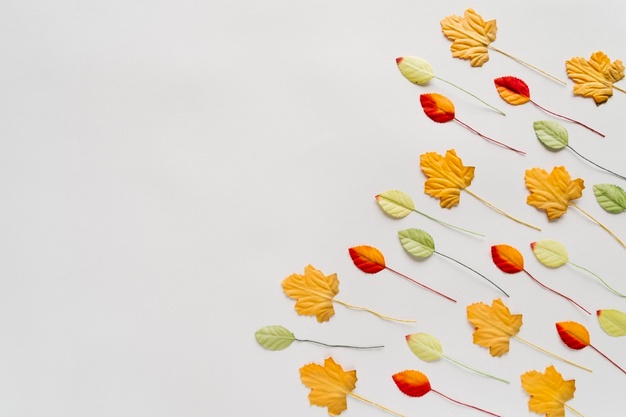 September clipart beautiful leaf. Vectors photos and psd